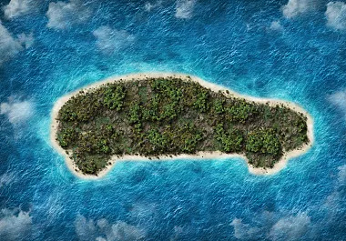 十张图了解中国新能源汽车行业进出口分析